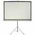 60 x 60 Portable Tripod Projection Screen, Matte White, Square Format